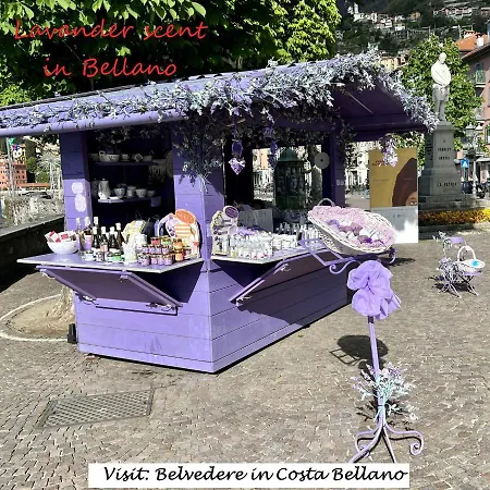 Apartment Belvedere In Costa - View